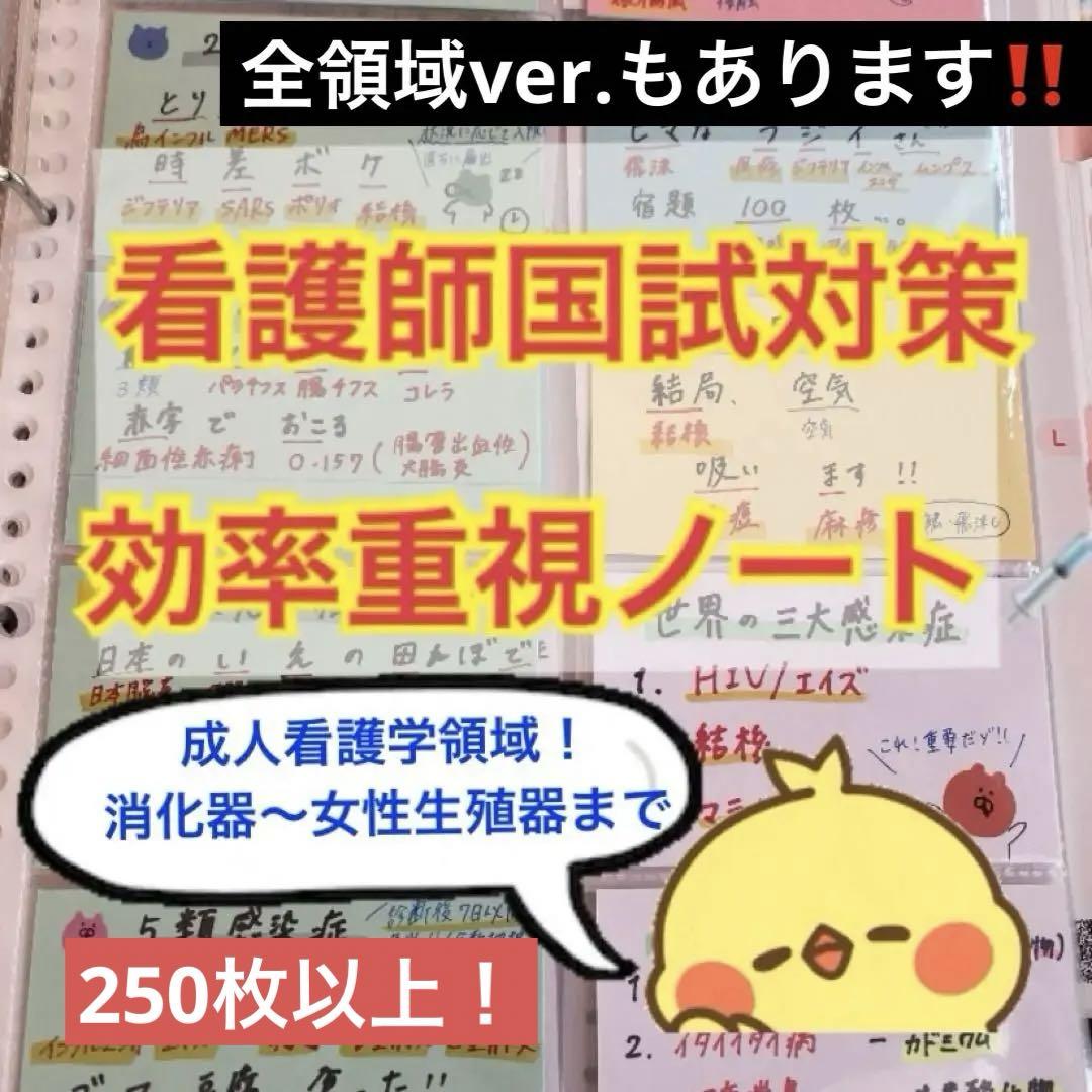 まとめ価格 看護師国家試験対策 大量付箋 暗記カード 解剖生理学