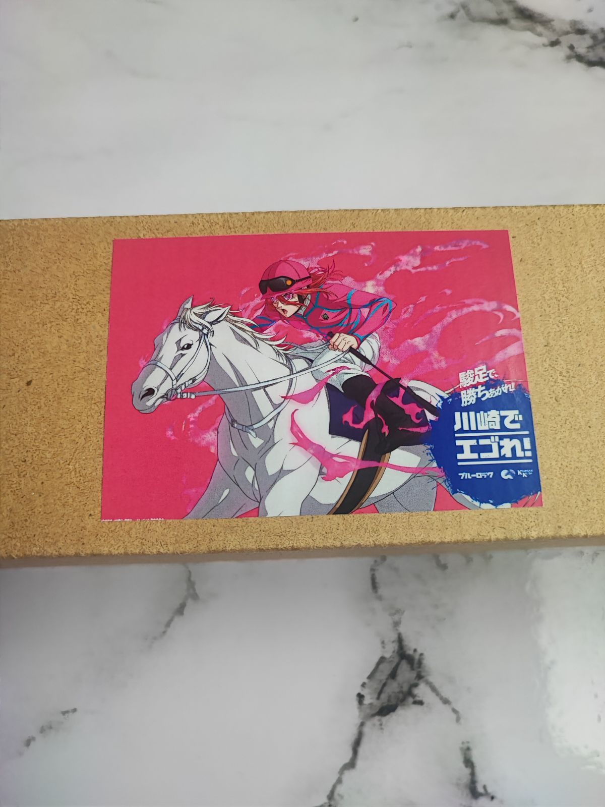 非売品☆ブルーロック 川崎競馬 コラボ B2 ポスター全5種