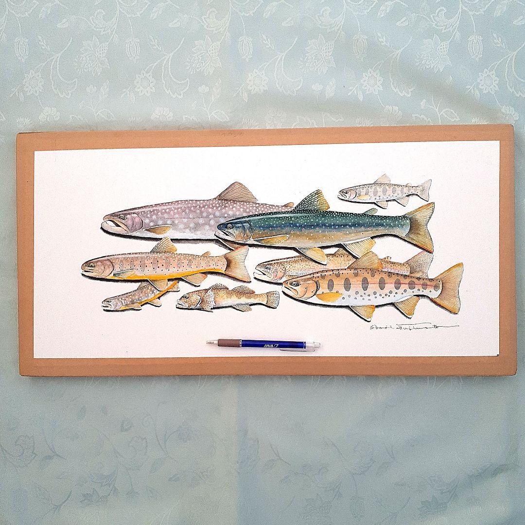 北海道の渓流に住む魚透明水彩画 北海道の渓流に住む魚の透明水彩画 （渓流の魚」 by Nob