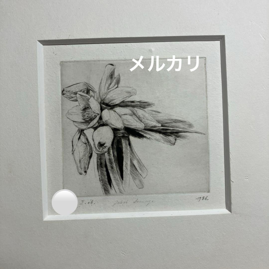 Jakob Demus ダイヤモンドドライポイント技法エッチング　ボタニカル画 Jakob Demus ダイヤモンドドライポイント技法エッチング