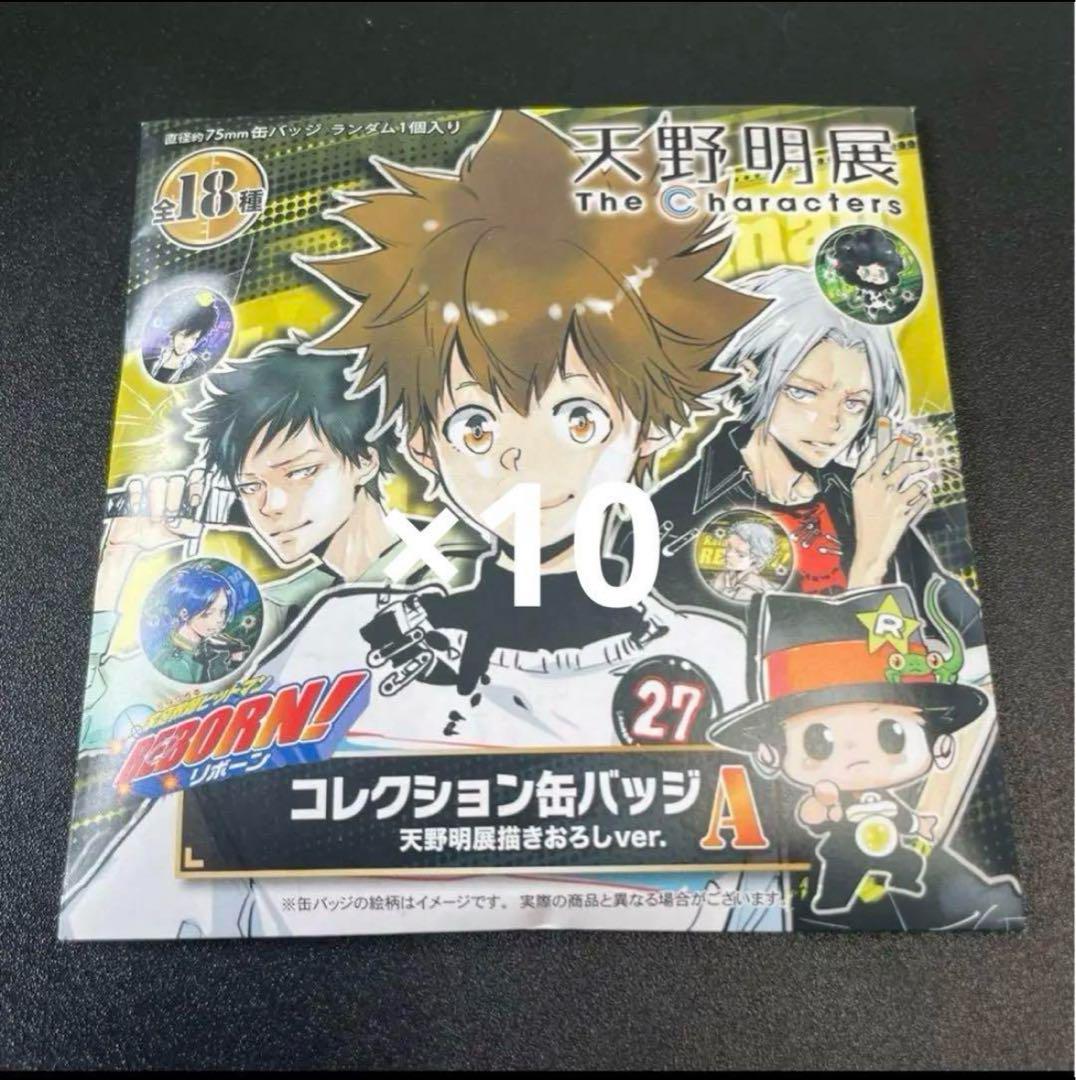 天野明展 家庭教師ヒットマンREBORN コレクション缶バッジA 手