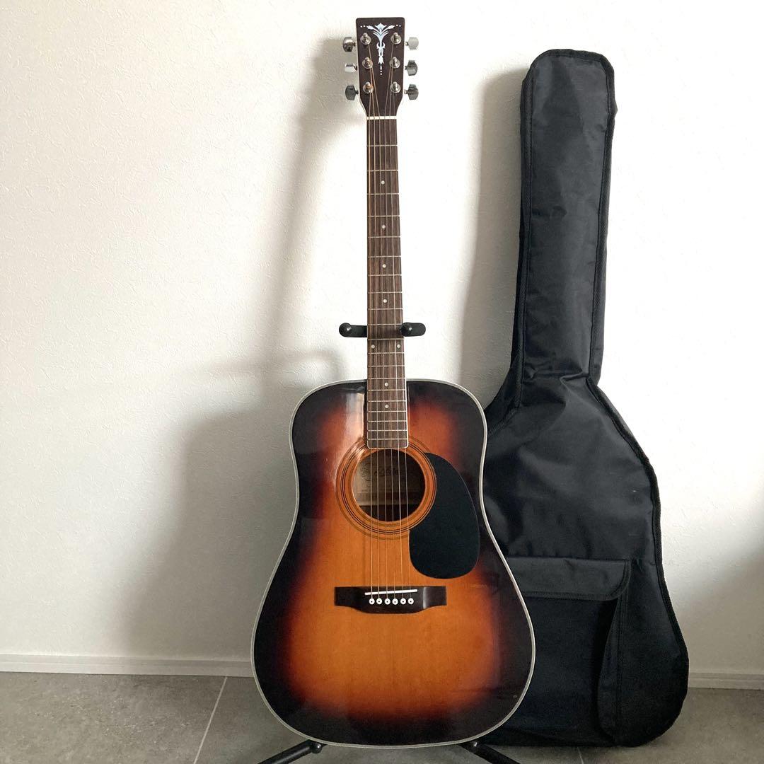 ARIA ADW-250 アコースティックギター ソフトケース付き ARIA ADW-250 アコースティックギター ソフトケース付き
