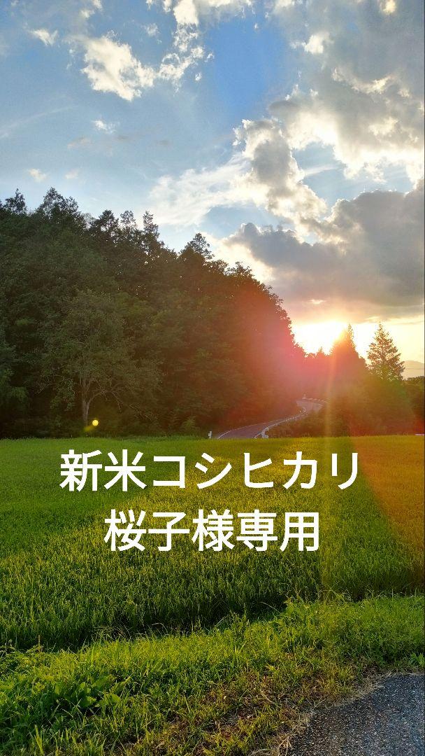 桜子様専用 （花澤香菜｜アニメキャラ・プロフィール・出演情報