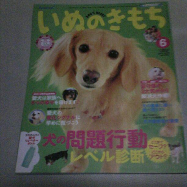 いぬのきもち　2014年6月号vol.145 いぬのきもち 2014年6月号vol.145（いぬのきもち2014年6月号vol