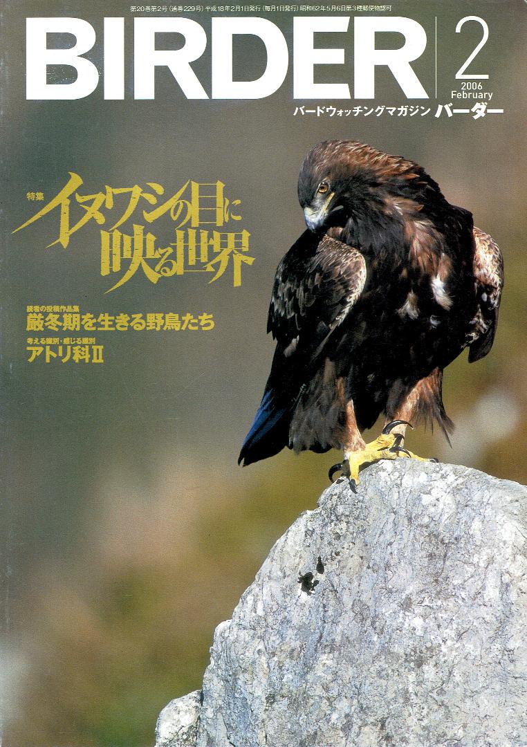BIRDER (バ ーダ ー) 2006年02月号 BIRDER (バ ーダ ー) 2006年02月号（eisvogel.blog: 0200