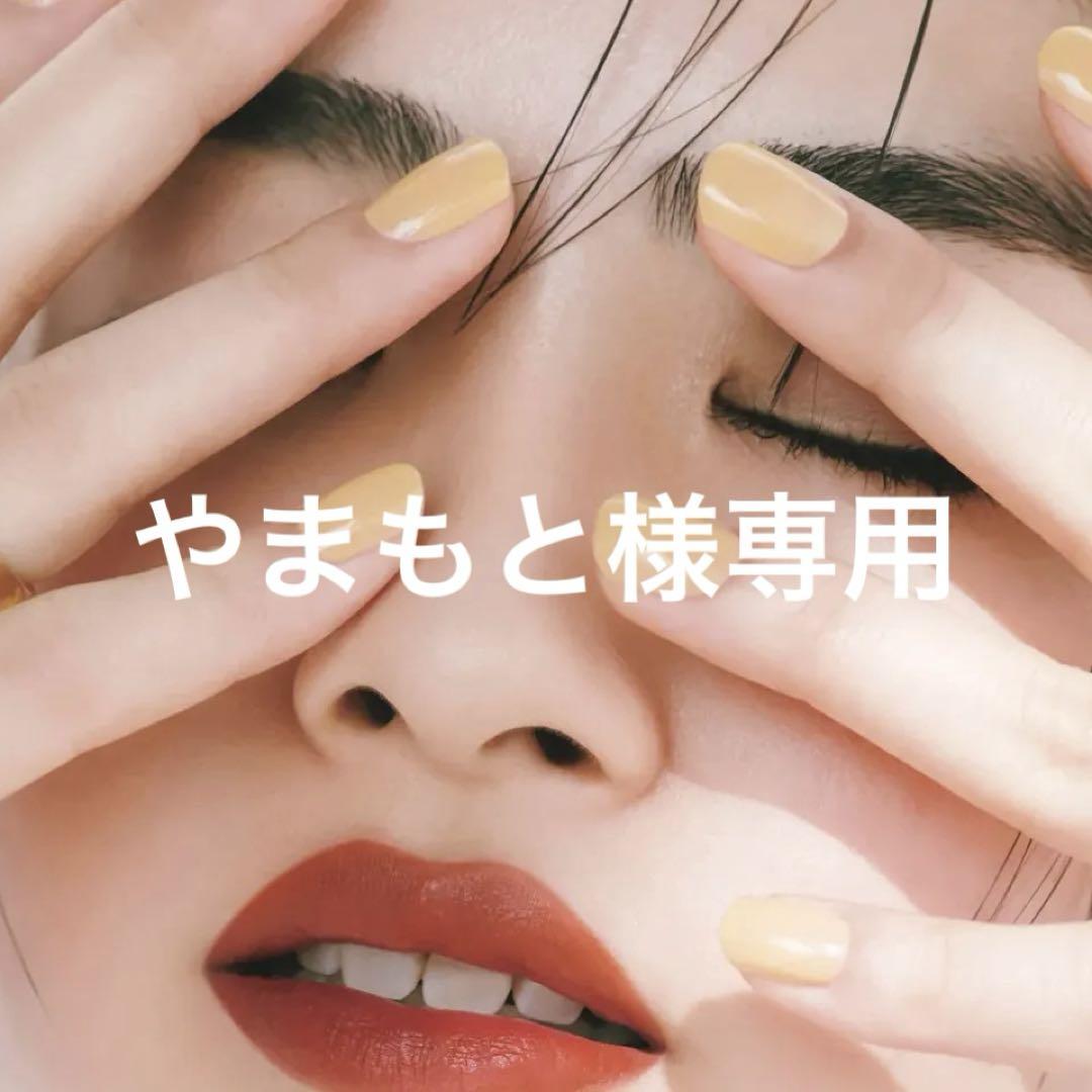 山本様専用 （十四代 龍月 やまもと様専用）