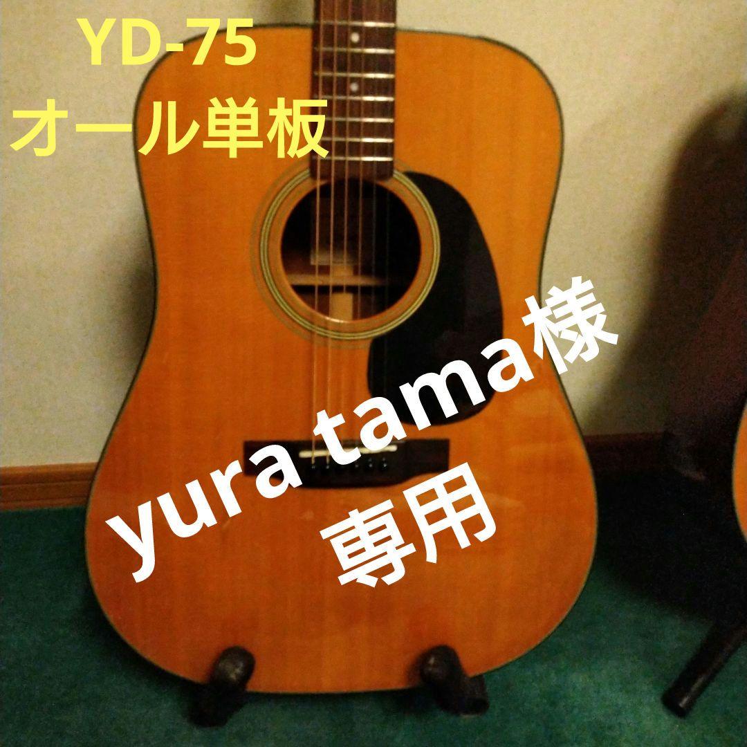 オール単板初期 YD75 プレイヤーズコンディション打痕キズあり