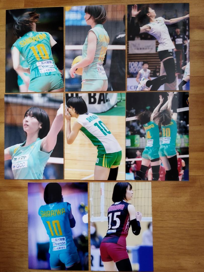 ☆女子バレーボール 白岩蘭奈選手の写真8枚セット3！（白岩蘭奈