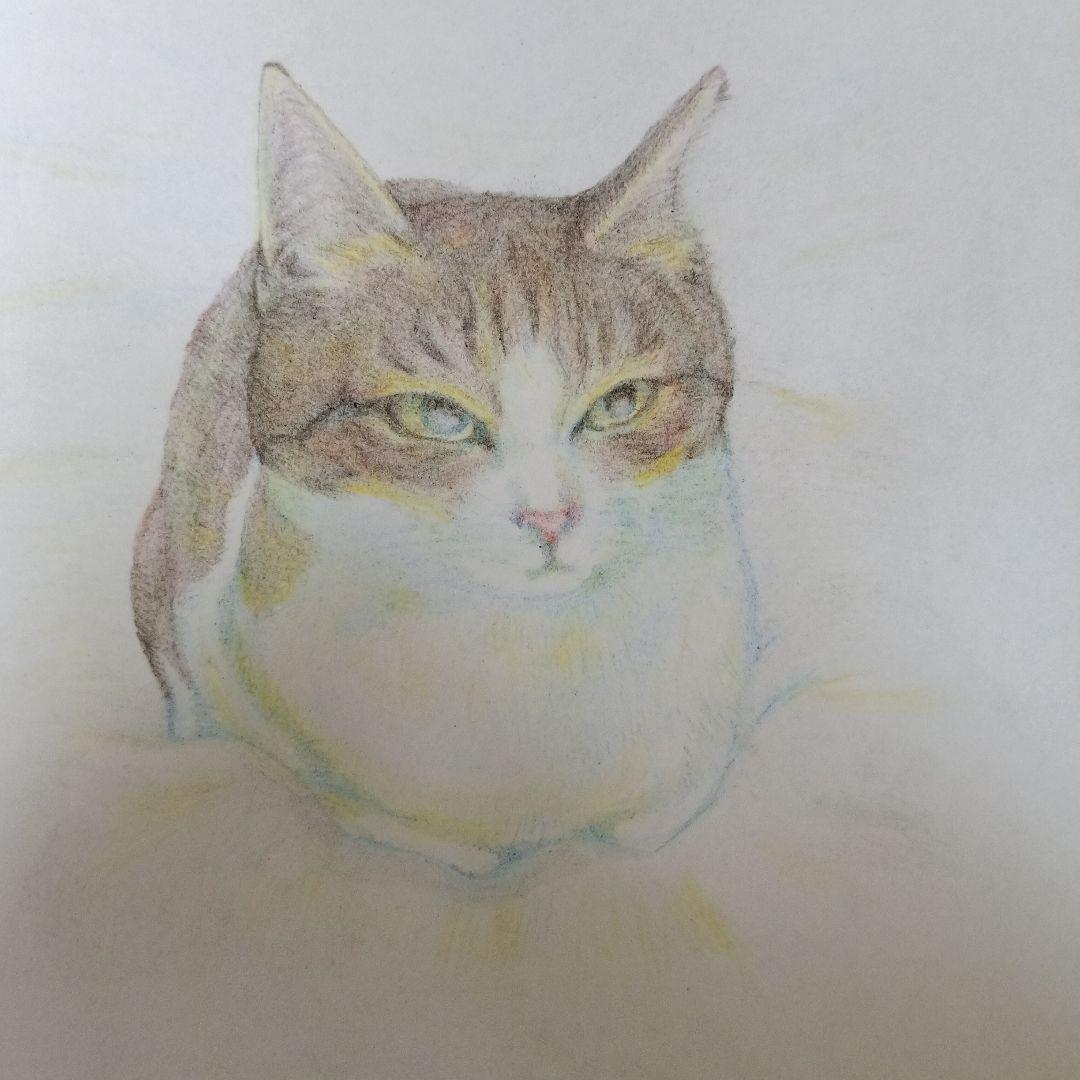 F0号◆猫◆新品【パステル＋水彩＋色鉛筆＋アクリル】◆防水丁寧梱包◆猫の絵 Amazon.co.jp: 猫 絵画 子猫 イラスト 水彩色鉛筆 油彩色鉛筆