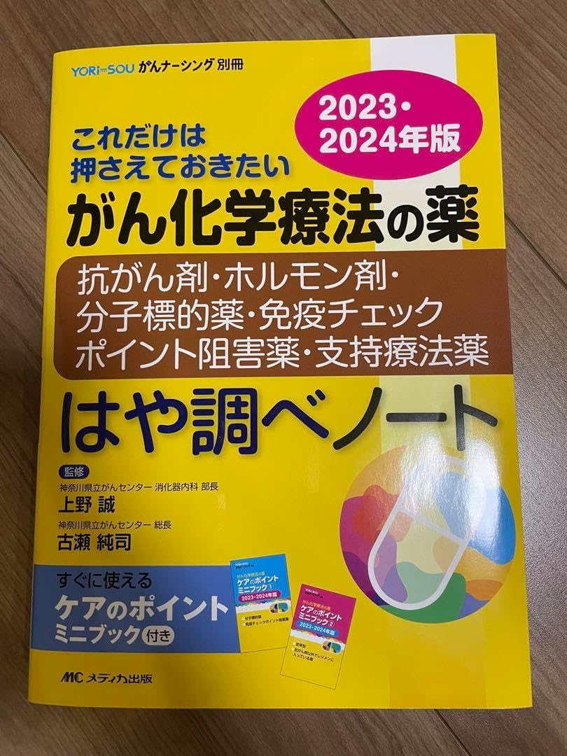がん化学療法の薬―抗がん剤ホルモン剤分子標的薬免疫チェック