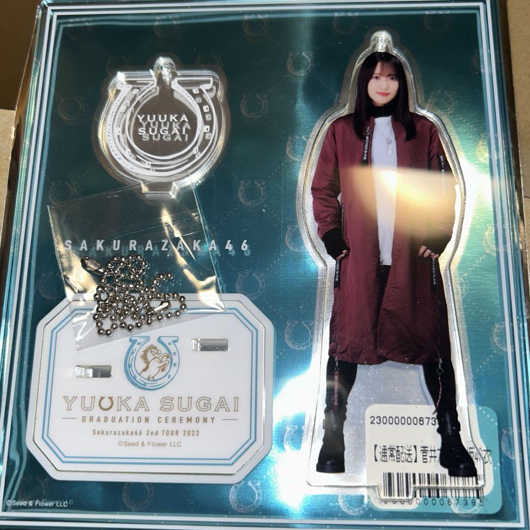 櫻坂46 菅井友香 アクリルスタンド ガラスを割れ！シークレット アクスタ Amazon.co.jp: 櫻坂46 菅井友香 アクリルスタンド シークレット