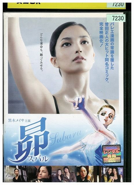 RAIN ASIA TOUR IN JAPAN DVD2枚組 写真集付 美品