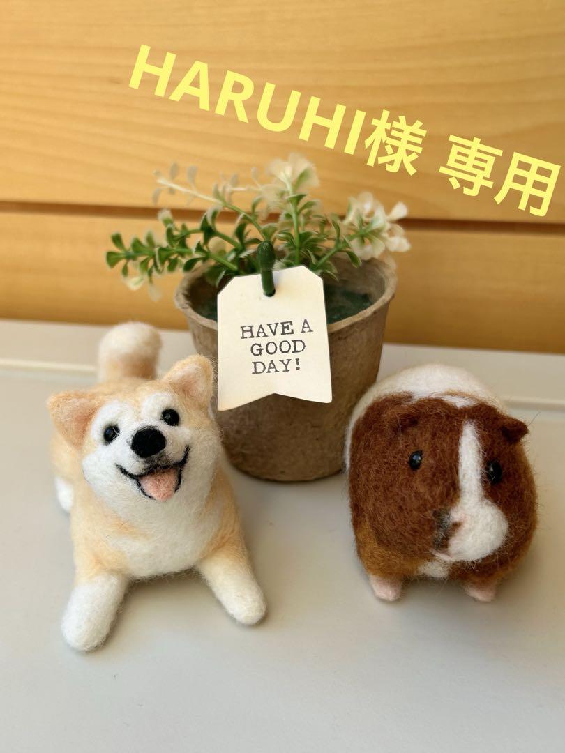 HARUHI様専用♪モルモットちゃん 柴犬ちゃん 羊毛フェルト