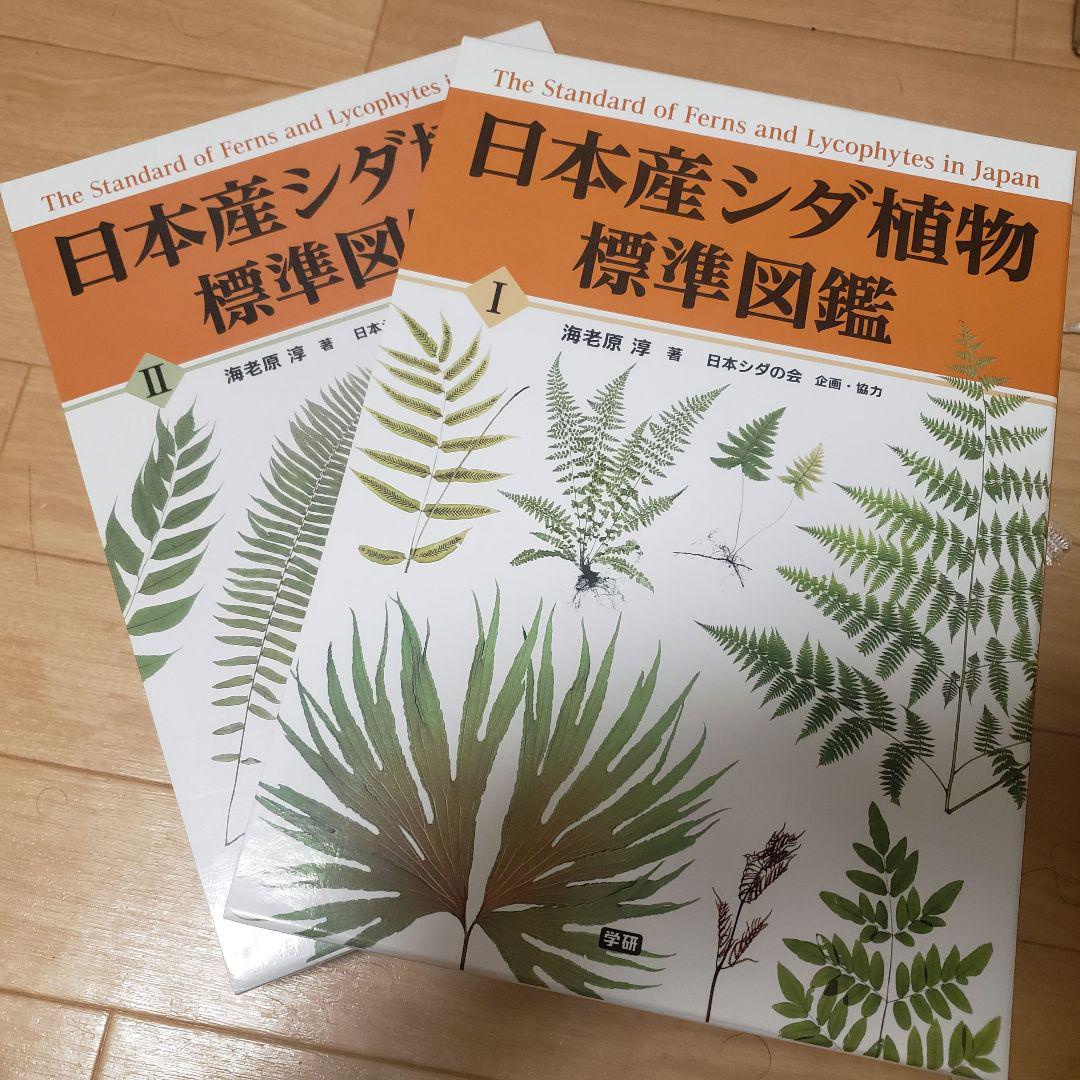 日本産シダ植物標準図鑑 （シダ植物図鑑の決定版大図鑑『日本産