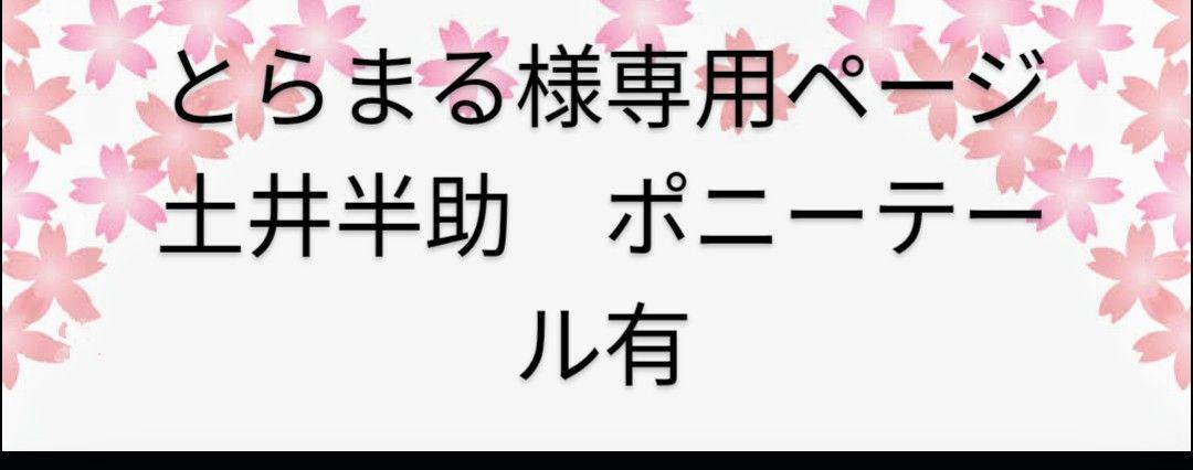 土井半助(ポニーテール有り)サンプル （劇場版 忍たま」土井先生