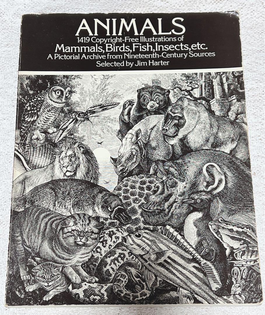 爆買い！ イラスト集 ANIMAL （動物イラスト集 プレミアムベクター） | 洋書