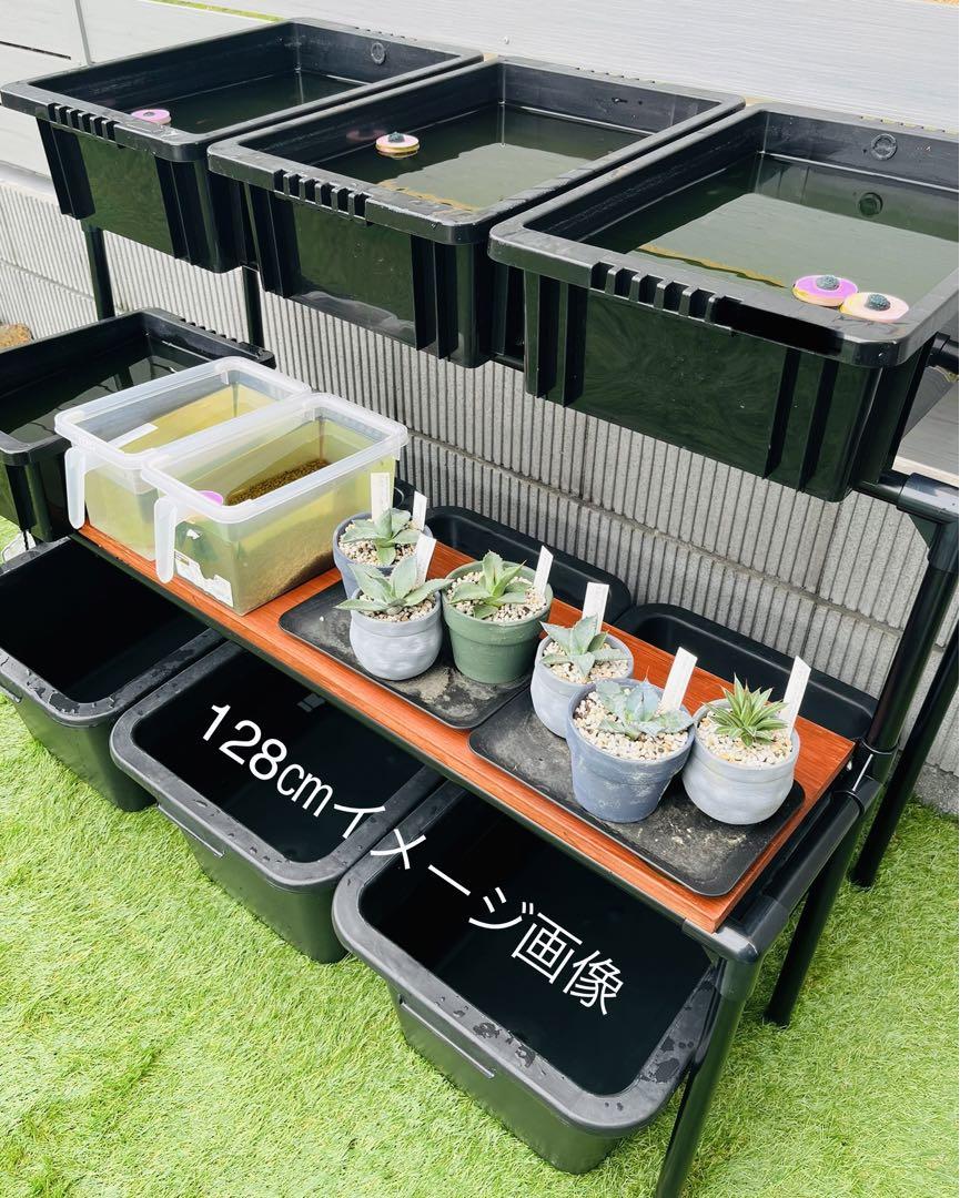 メダカラック　めだか棚　ご希望サイズでお作り致します！　めだか　メダカ メダカラック めだか棚 ご希望サイズでお作り致します！ めだか