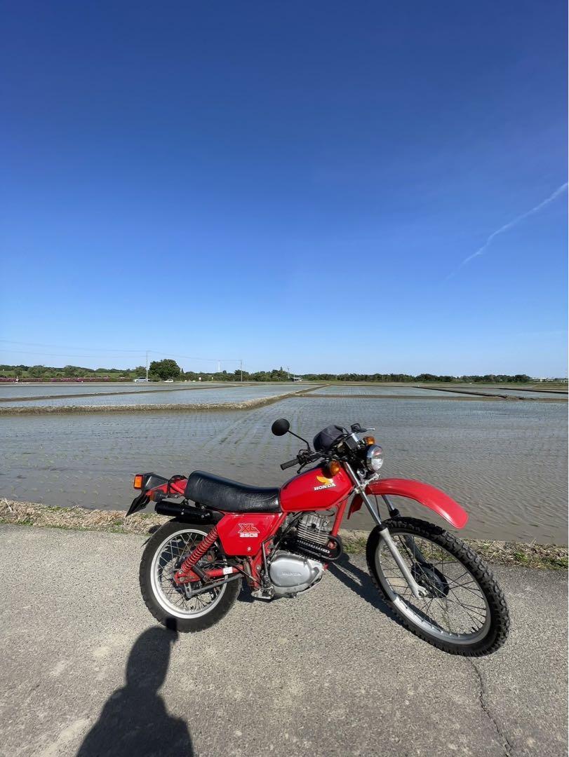 HONDA ホンダ xl250s 81年式 ビンテージモトクロス （HONDA