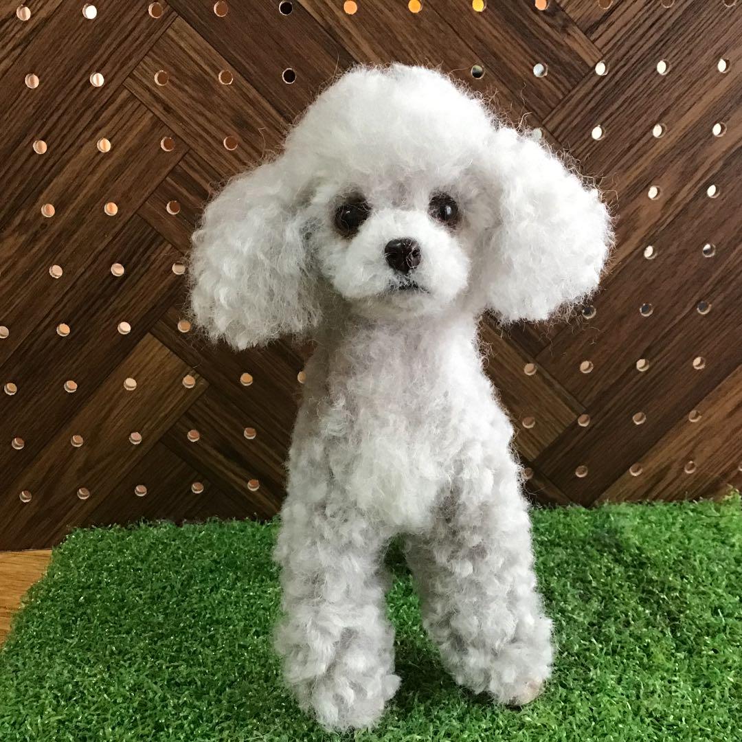 トイプードル（シルバー） （トイプードルのシルバーちゃんお