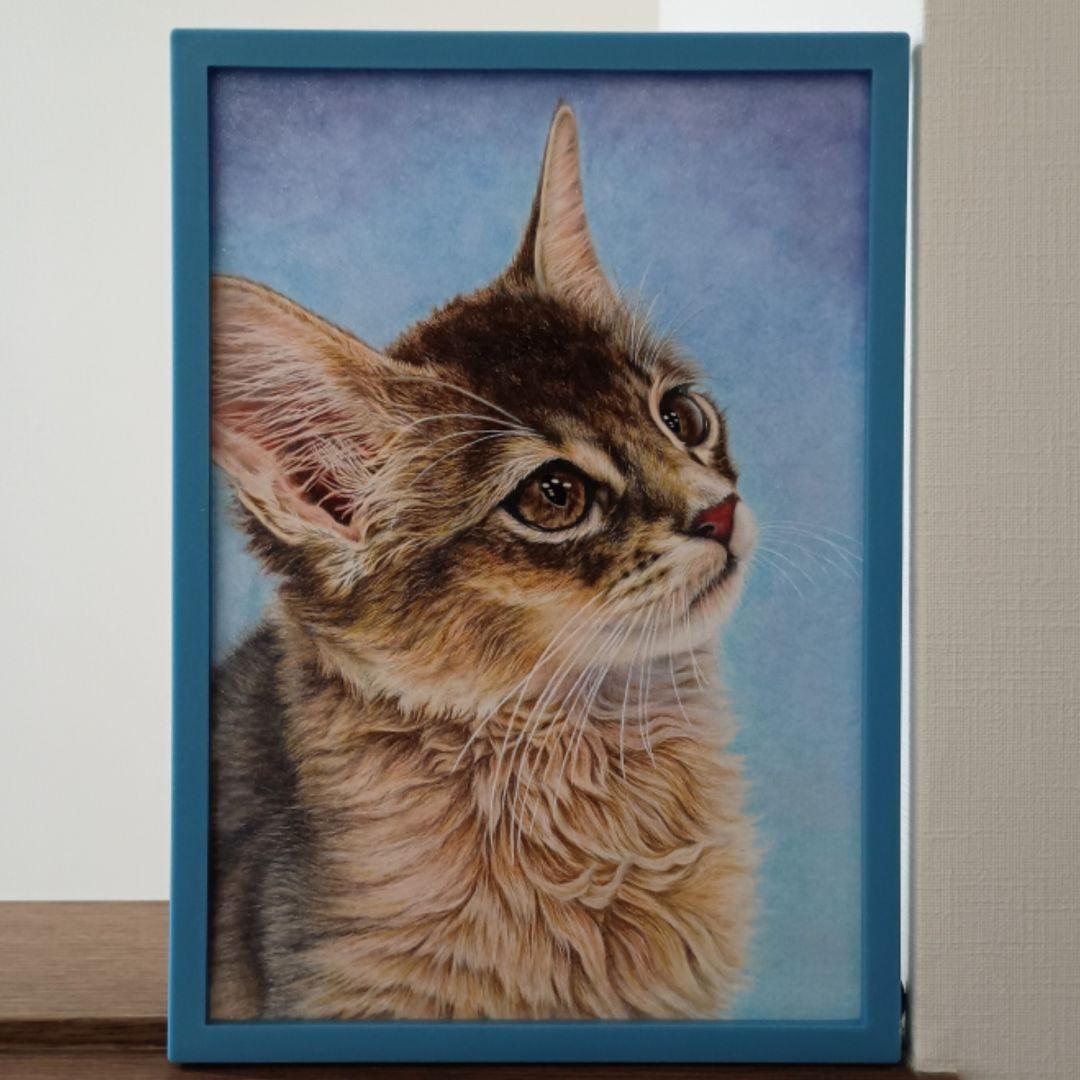 B5 原画 手描きイラスト 猫の絵 猫イラスト 子猫 色鉛筆画 絵画