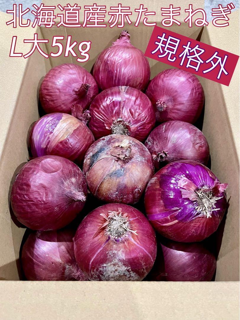 農家直送】 北海道産赤たまねぎ L大 5kg 規格外（楽天市場