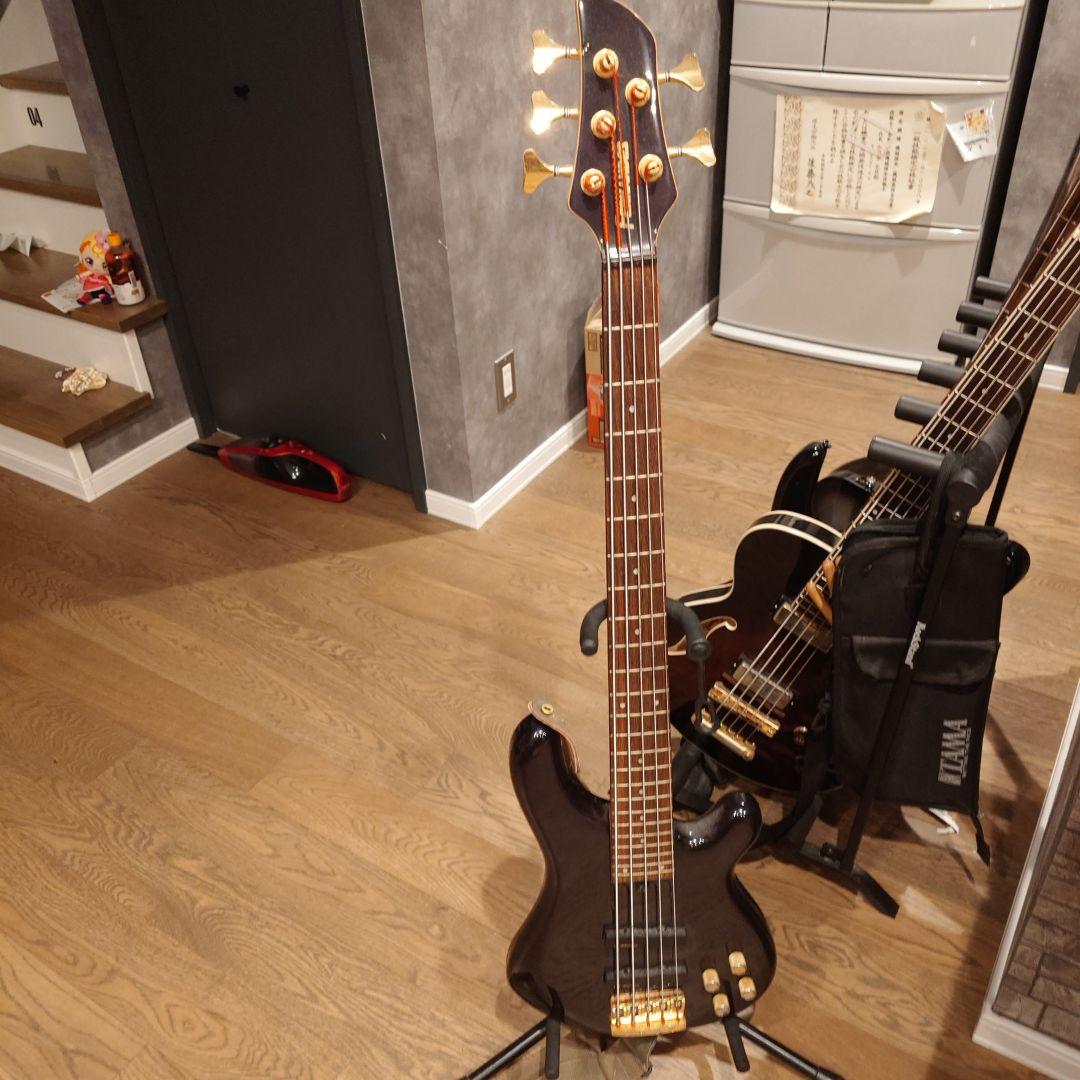 フェルナンデス5弦ベース FERNANDES FJB5-DLX PCS 5弦ベース エレキベース コイルタップ