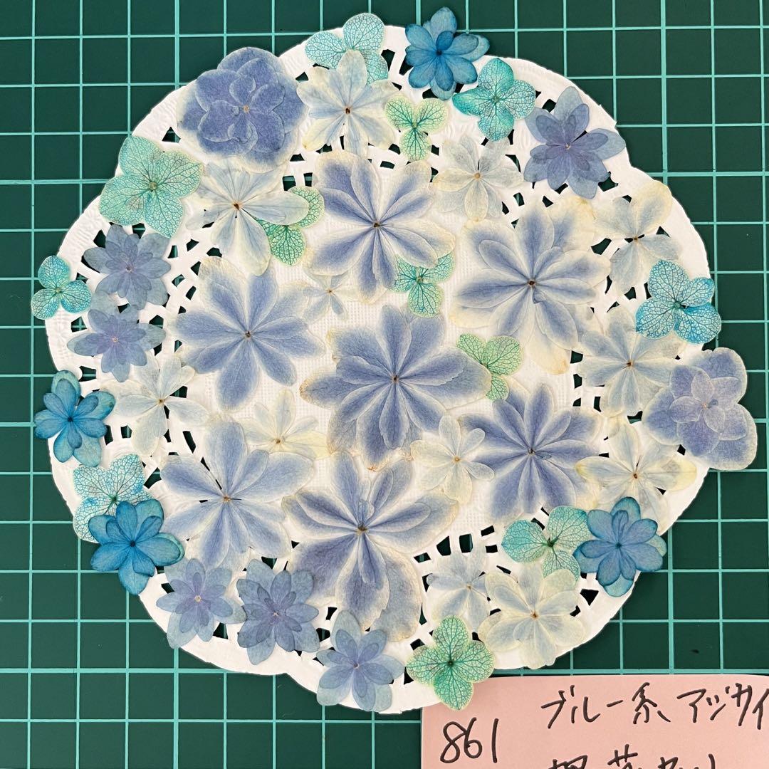 花代さま　オーダーページ 220_20231125142229_1200x1200.