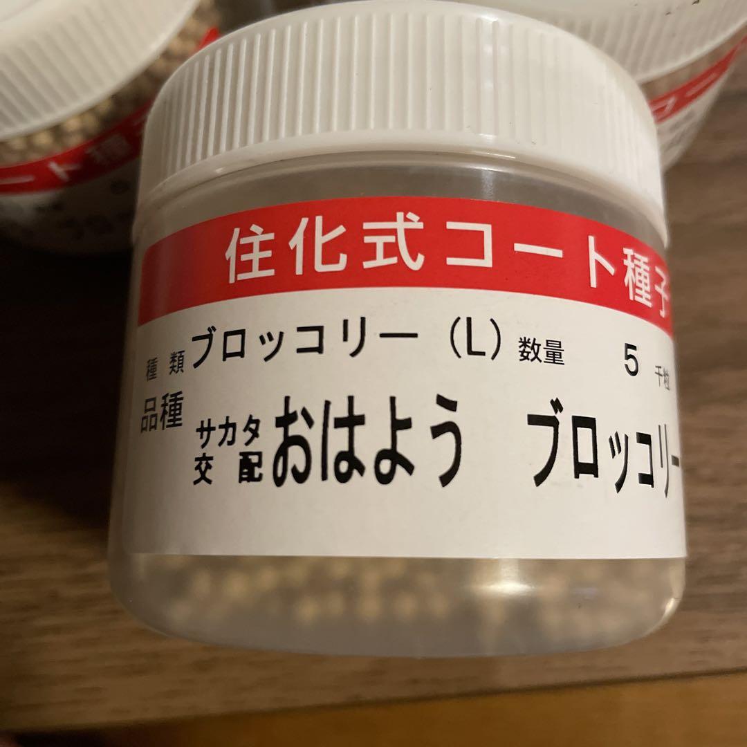 【匿名発送】大人気の新種が激安！ブロッコリーコート種子（おはよう）5000粒 楽天市場】おはよう 5000粒 ブロッコリー 種子 コート : 農家の