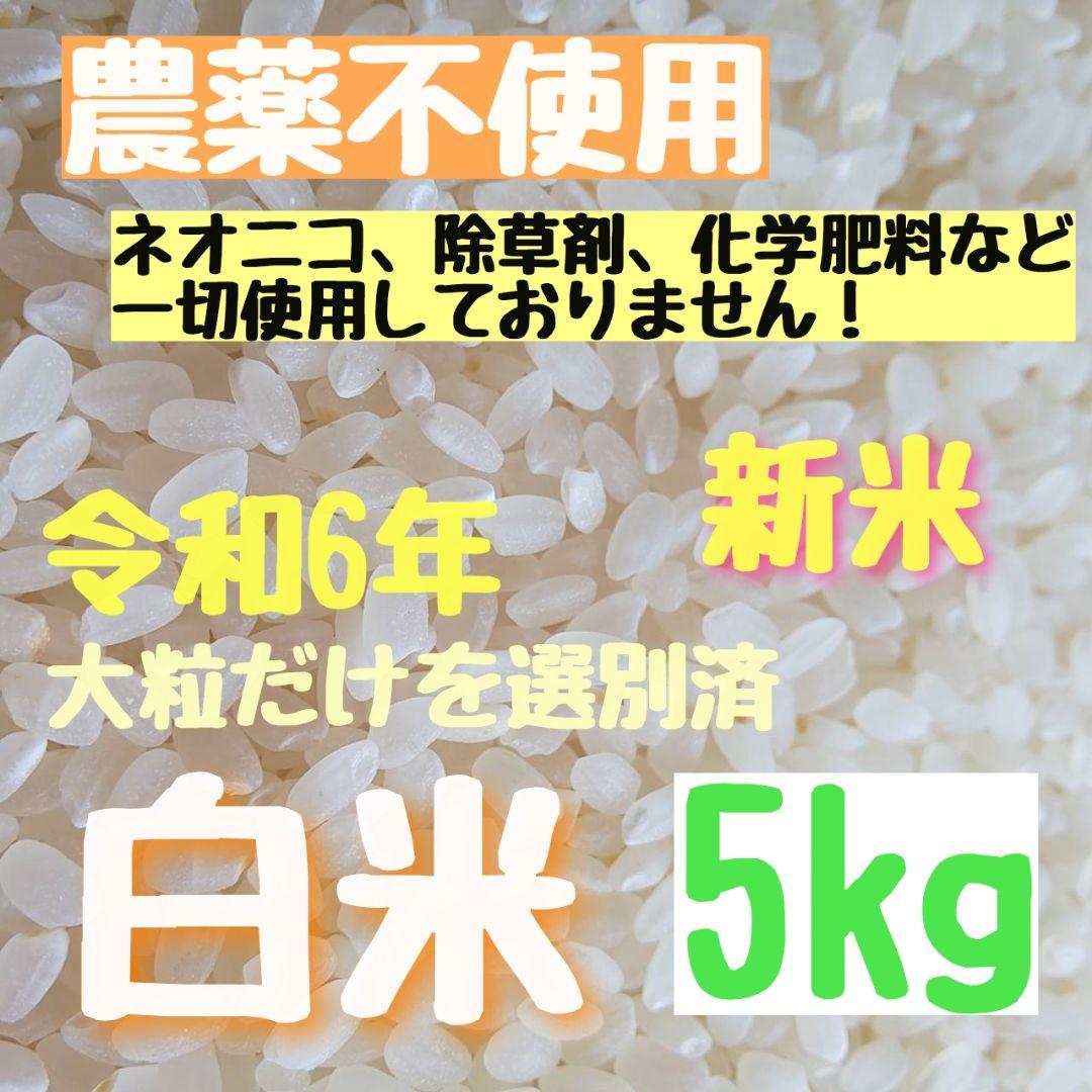 【綺麗な大粒揃い】農薬不使用 化学肥料不使用 ヒノヒカリ 白米 10kg 在庫残りわずか【綺麗な大粒揃い】農薬不使用 無化学肥料
