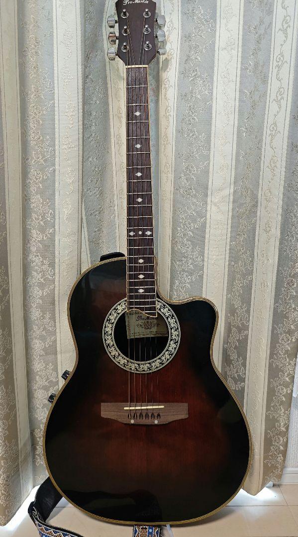 pro martin プロマーティン EA 350 BLS エレアコ Pro Martin EA350 BLS | ソロギターのしらべ練習帳