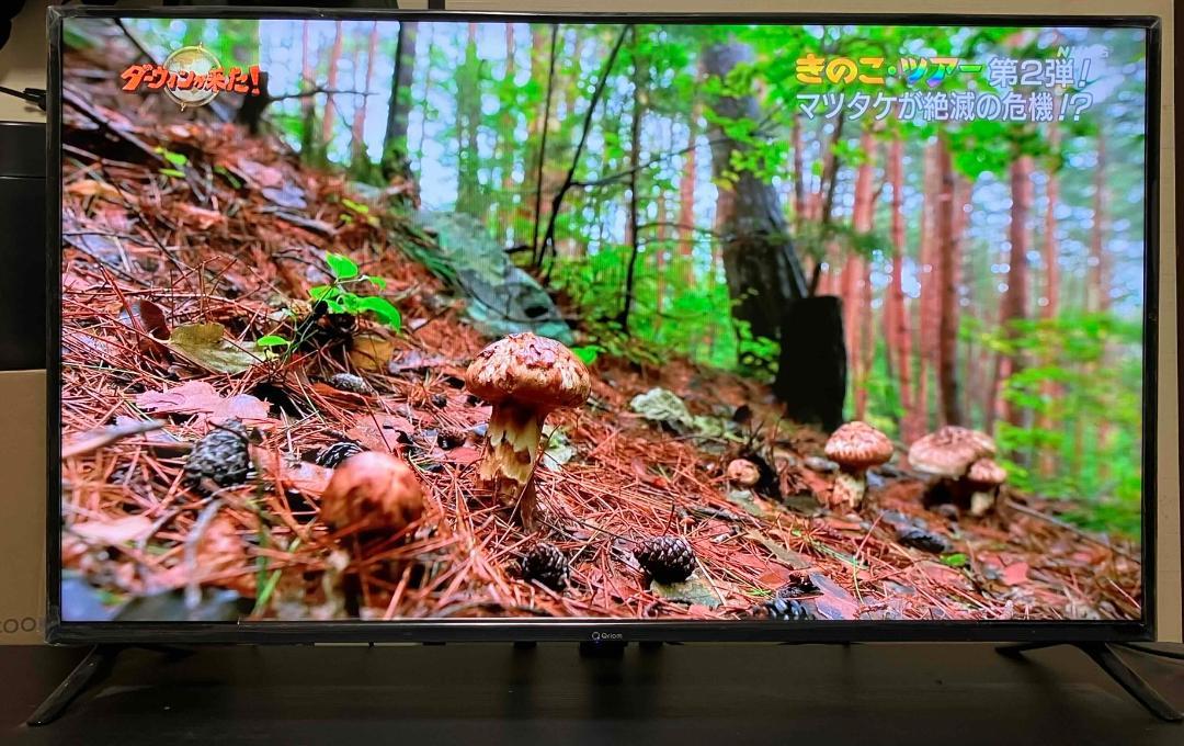 テレビ 40インチ液晶 QRC-40W2KHDD 1TBHDD フルハイビジョン