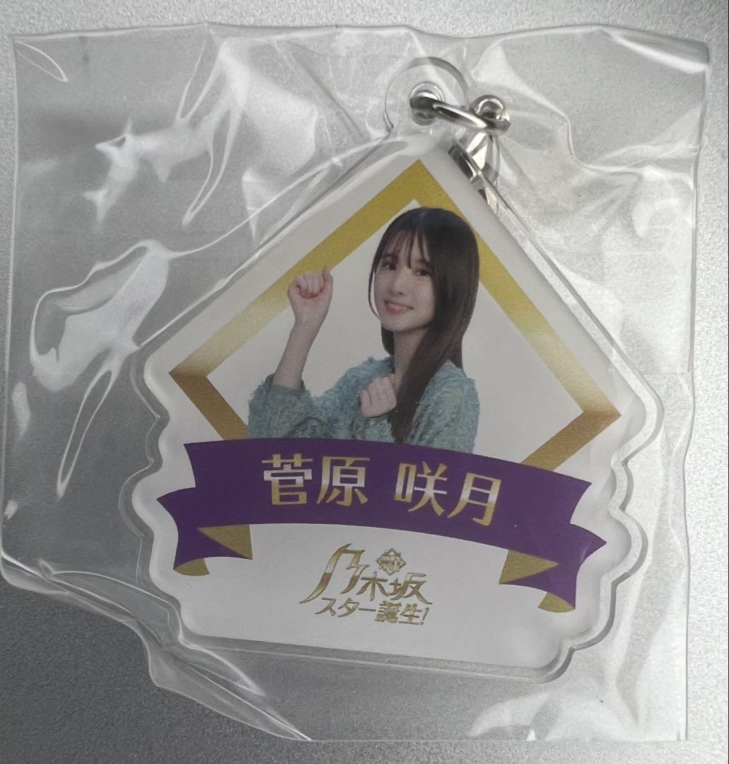 乃木坂46 菅原咲月　直筆サイン 乃木フェス　パブミラー 菅原咲月 乃木フェス 直筆サイン トートバッグ プリントカード