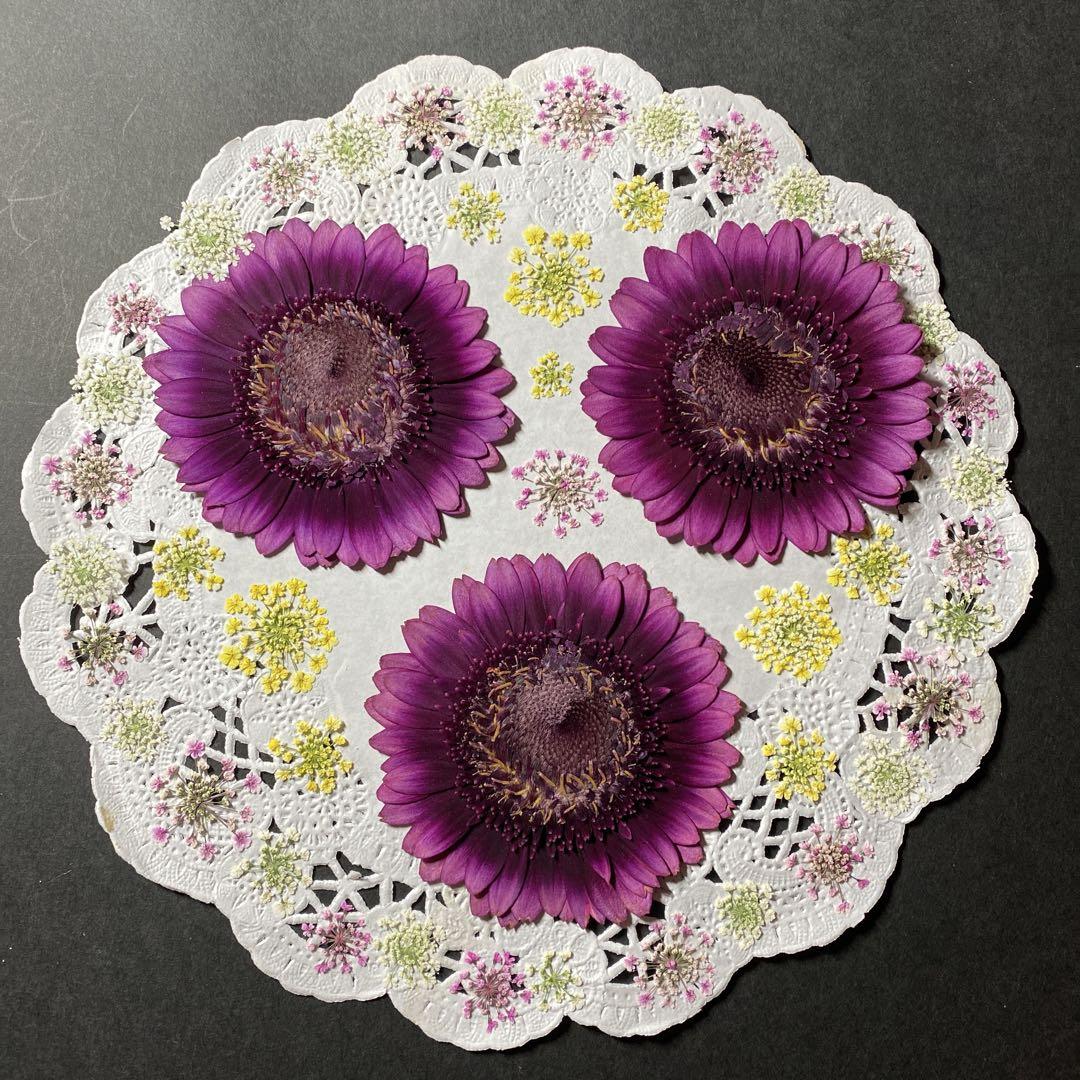 健太君のお嫁様 確認用☻︎❥︎オーダー押し花ケース