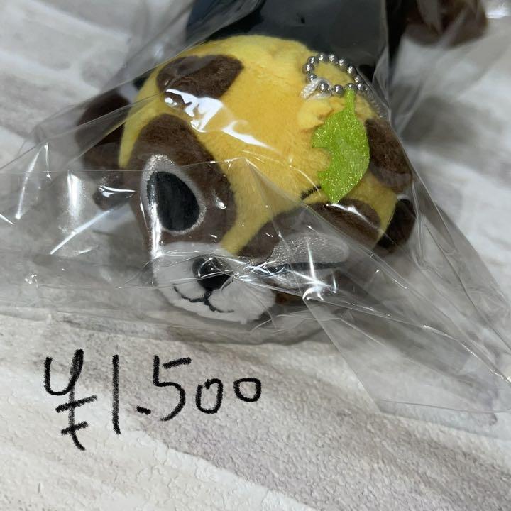 浦島坂田船 うらたぬき グッズ集（商品一覧 – 浦島坂田船公式