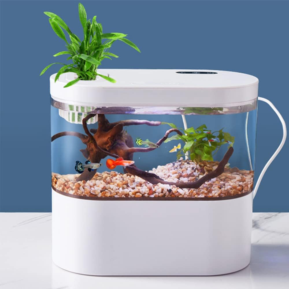水槽 timtamtom Amazon | zjdgweh 亀 水槽 大きい タートルタンク カメ用水槽 亀