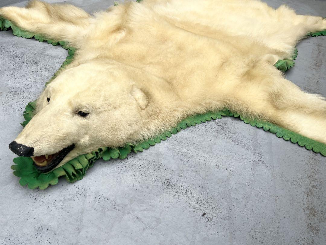 白熊剥製 白熊 剥製 しろくま （シロクマと自宅で暮らす！ 動物