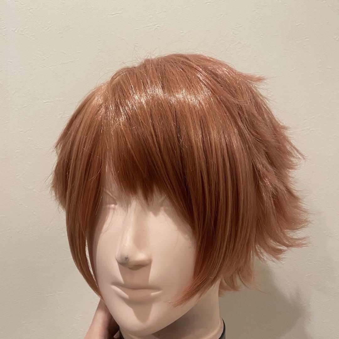 常陸院光 コスプレ ウィッグ 常陸院光 コスプレ ウィッグ - メルカリ