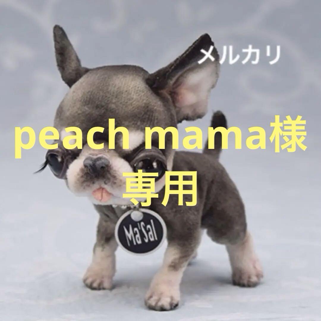 国内作家　アートドール　ぬいぐるみ　テディベア　アーティストベア　チワワ 作家さま チワワのぬいぐるみ - メルカリ