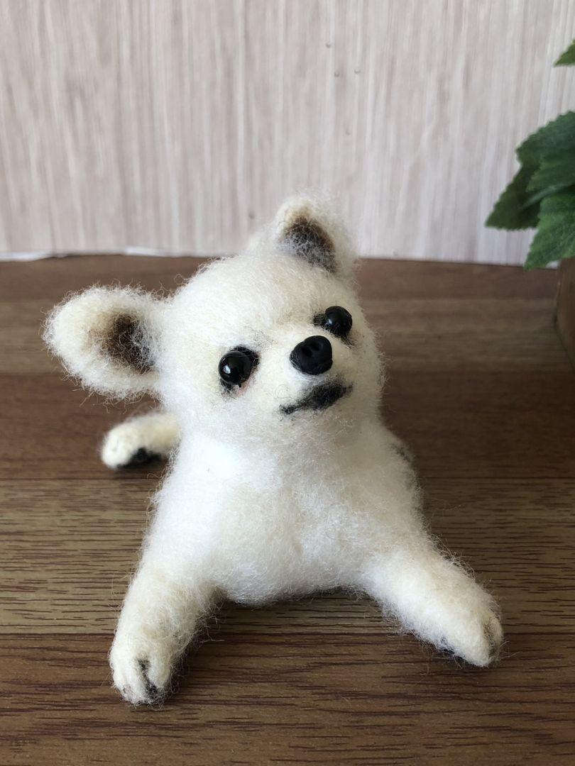 チワワ 羊毛フェルト （Amazon | 羊毛フェルト ふせをするチワワ