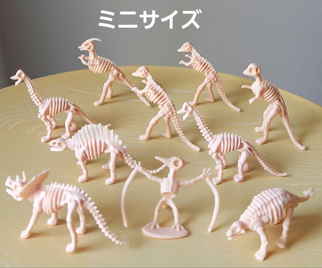 恐竜骨格フィギュア Amazon.co.jp: [AiO JAPAN] 玩具 恐竜 骨 フィギュア 12種類