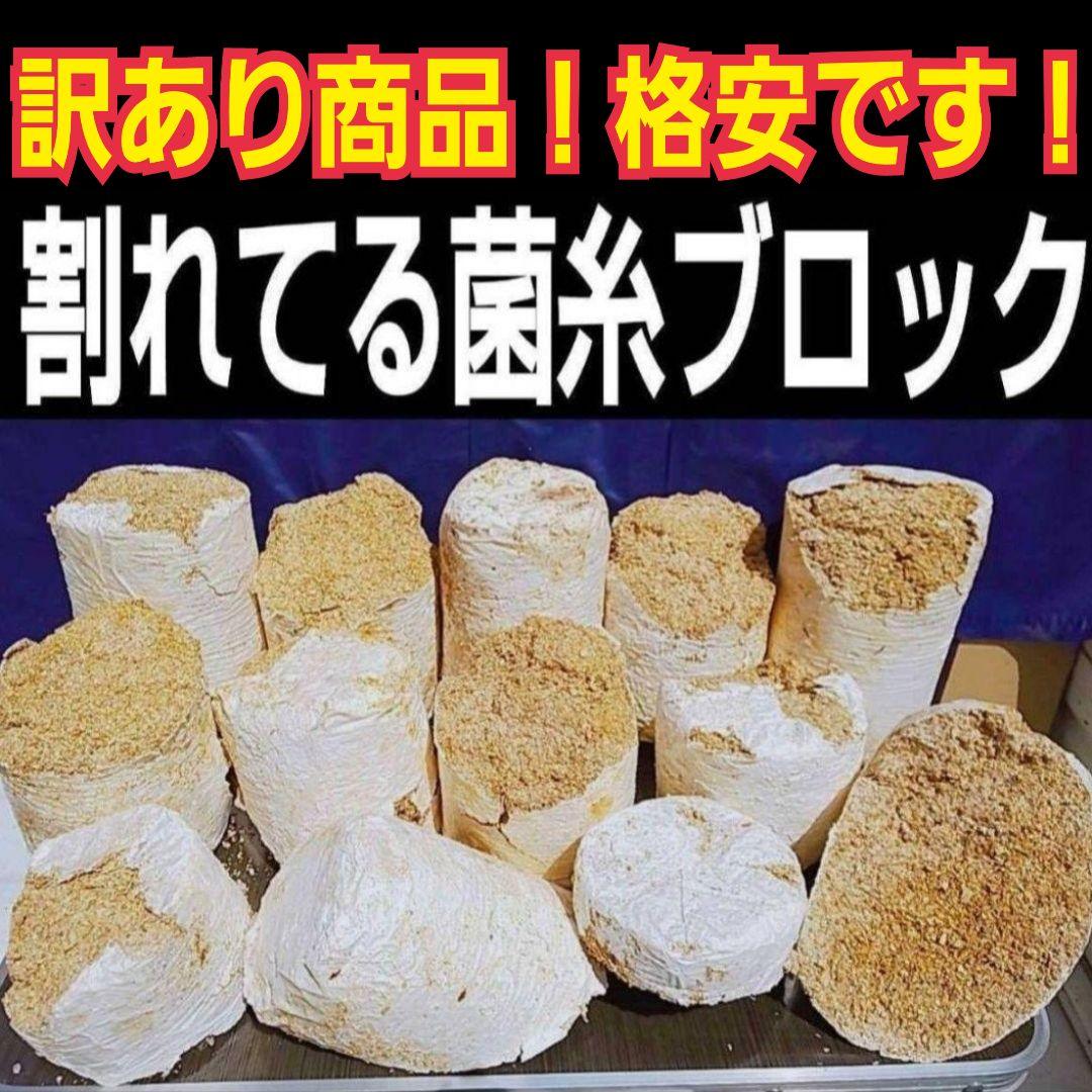 割れてる菌糸ブロック【大量30個分】カブト幼虫の栄養業界に