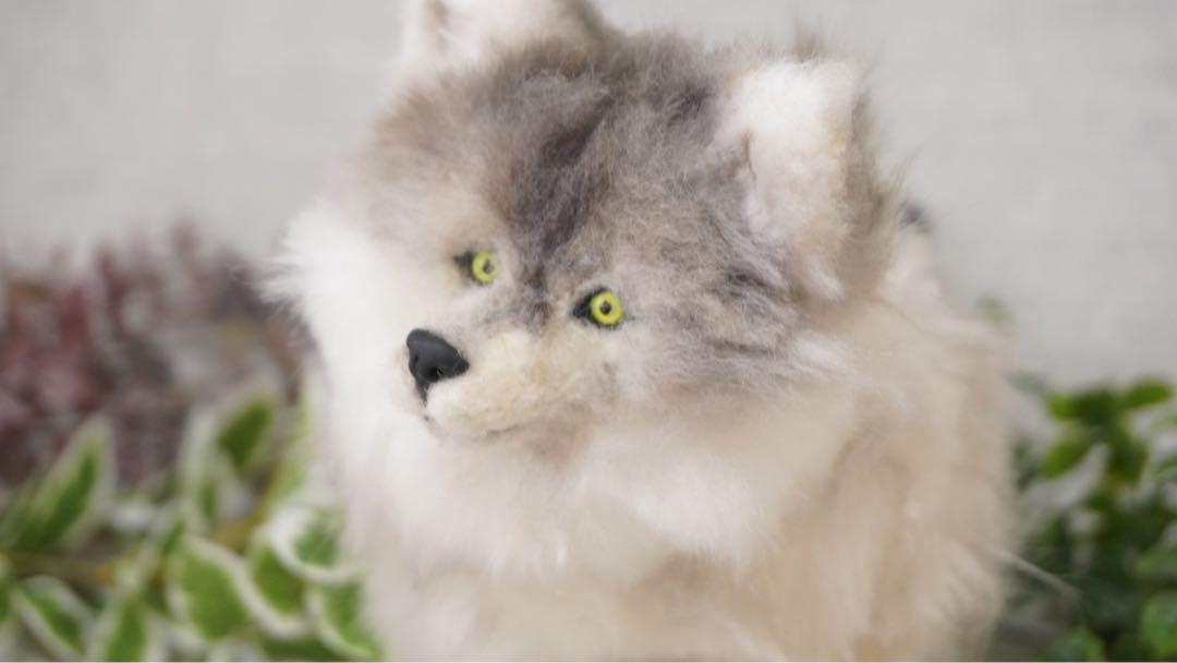 オオカミ アートドール （アートドール wolf オオカミ 『若狼