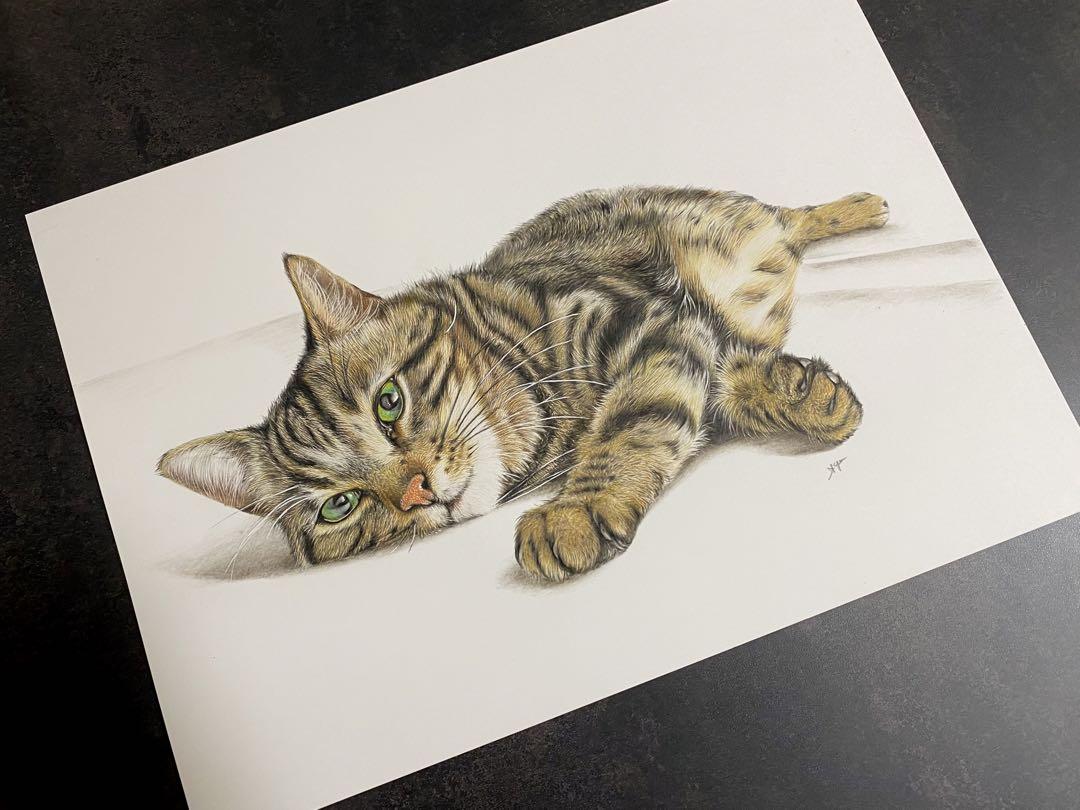 色鉛筆画 猫の絵 キジトラ 細密画 （塗らずに描く、色鉛筆画の