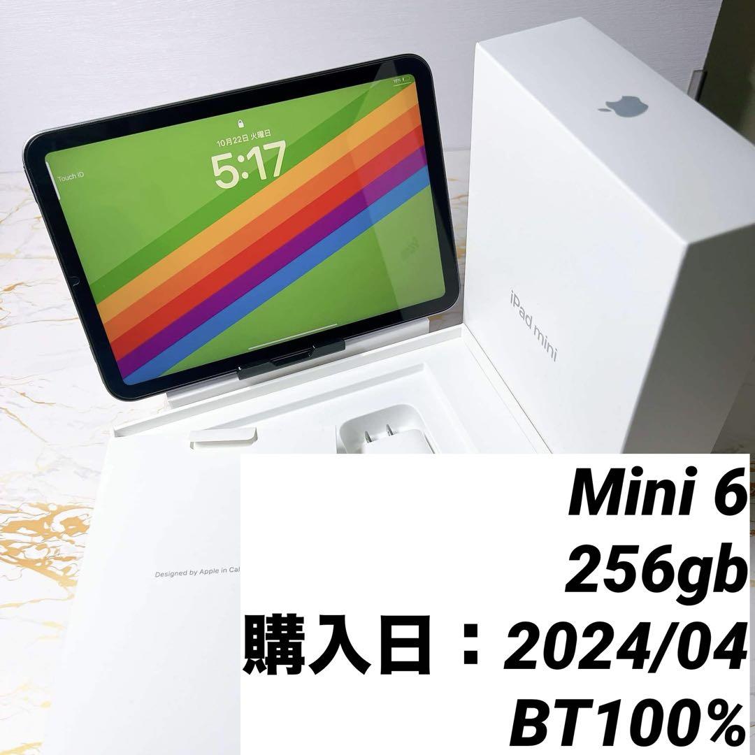 保証有り iPad mini 第六世代 256GB 充電回数21回 BT100%（保証