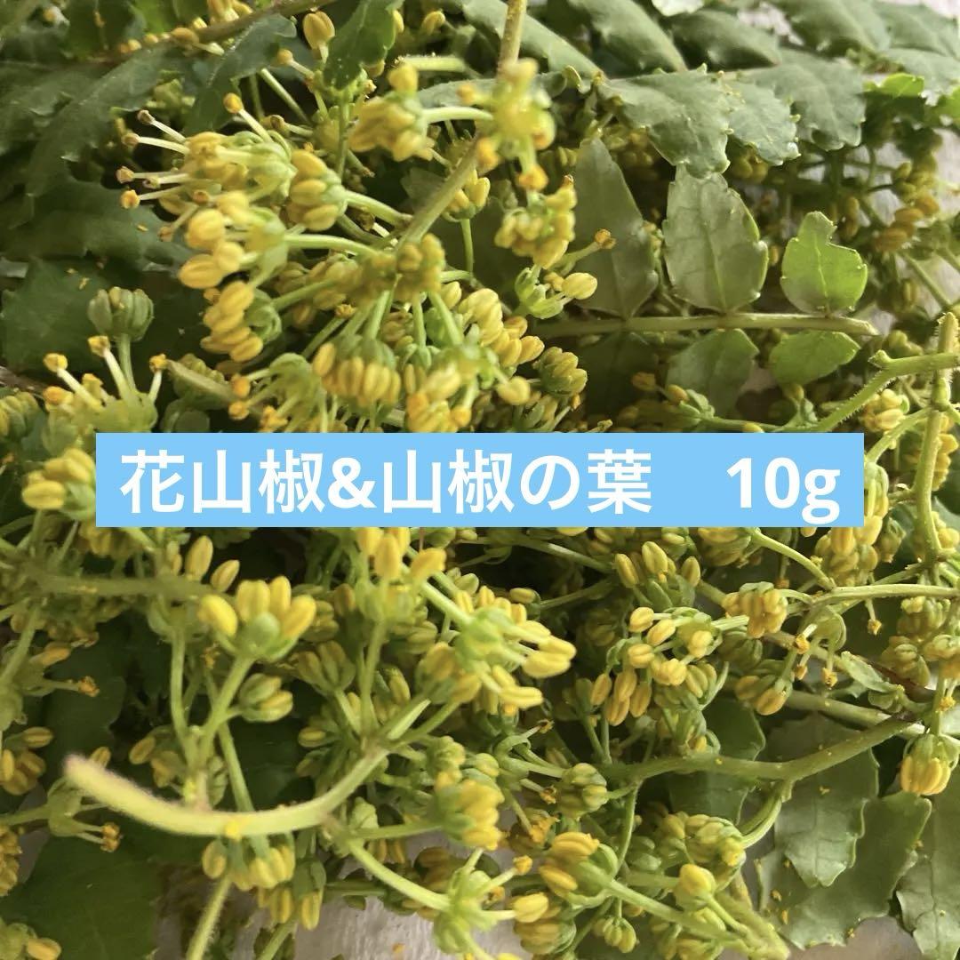花山椒➕山椒の葉 10g （舛村 佐和子 | レシピ有り 【花山椒の鰤