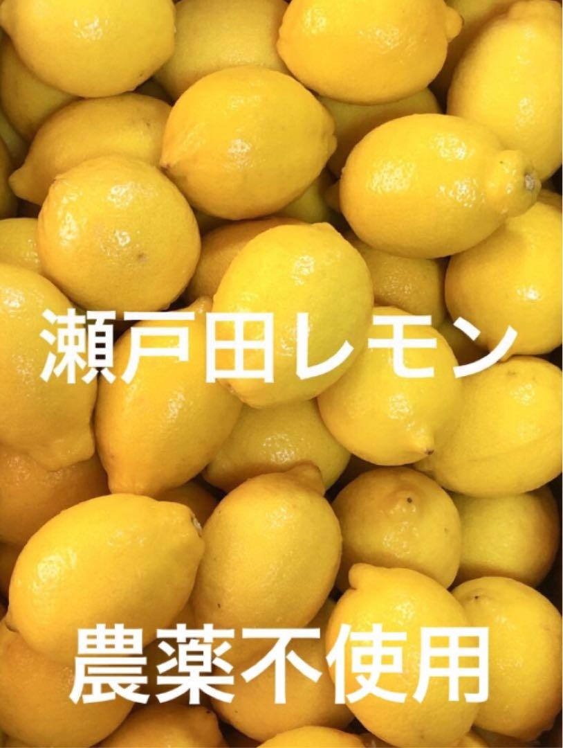 ③国産瀬戸田レモン1.3〜1.5Kg （【楽天市場】【 生産量日本一