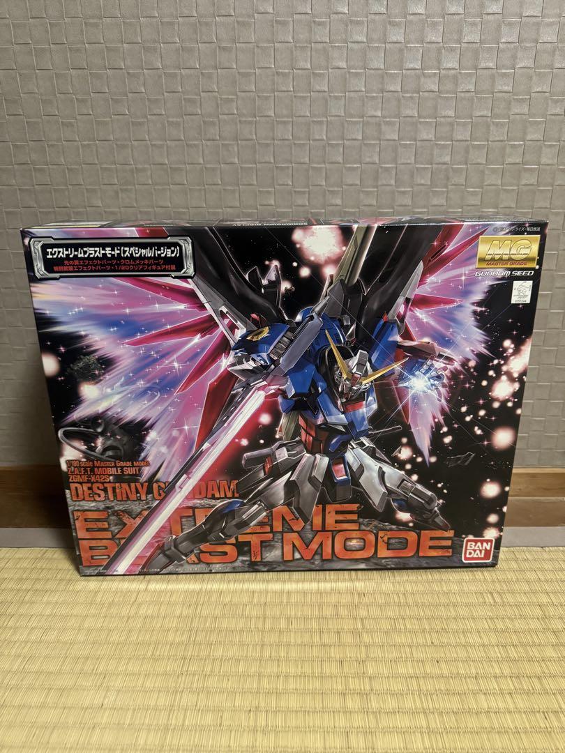 未組立 MG デスティニーガンダム ハイネ専用機 ガンプラEXPO
