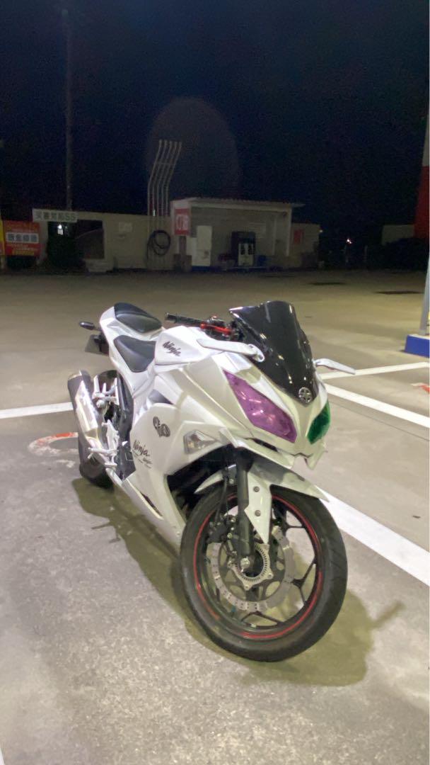 Ninja250ex250l ホワイト カスタムデザイン（NINJA250 ヘッド