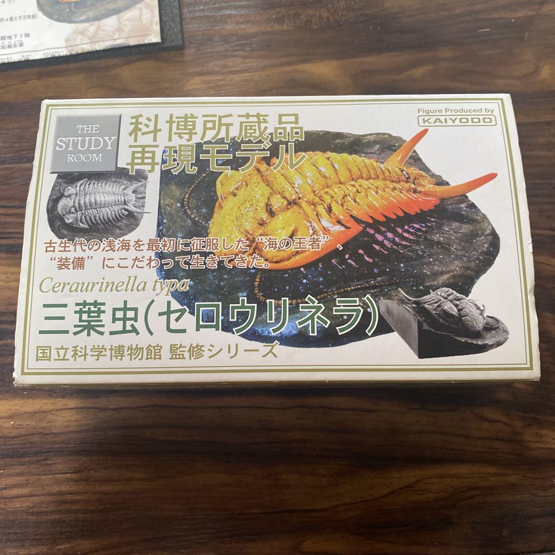 Amazon.co.jp: 科博所蔵品再現モデル 三葉虫(セロウリネラ