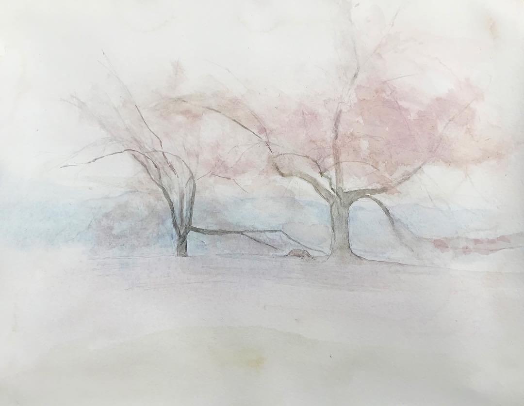 手書き絵 桜 スケッチ 額付き （鉛筆手書き絵画盆栽の枝 （桜の